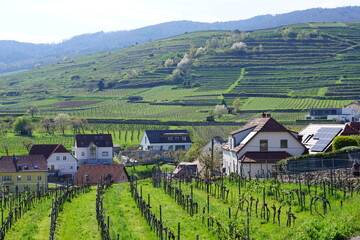 village in the valley 
