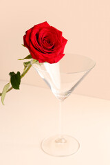 Glass with beautiful red rose on light background