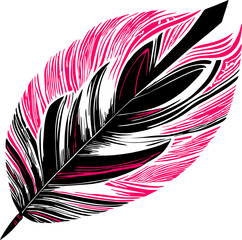 black and pink decorative bird feather without background, isolated element