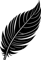 black graphic decorative bird feather without background, isolated element, decor