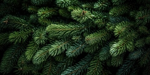 Fototapeta na wymiar background of green spruce branches close-up. Generative AI