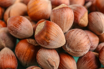 Shelled hazelnuts as background, closeup