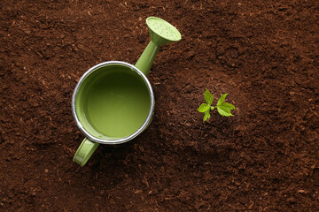 Green seedling growing with watering can outdoors