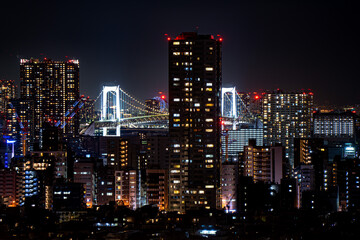 Fototapeta na wymiar Tokyo skyline at night