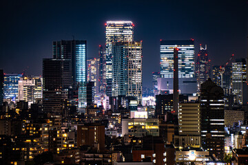 Fototapeta na wymiar Shibuya Skyline at night