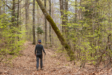 Hiker on relaxed walk through the woods in spring