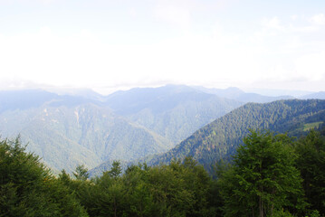Fototapeta na wymiar green mountains in the morning