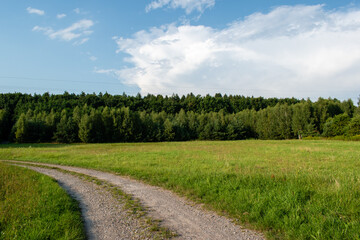 Fototapeta na wymiar Droga przy łącze do lasu
