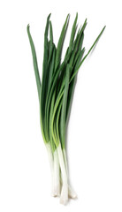 Fresh green onion isolated on white background