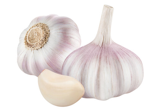 Delicious garlic cut out