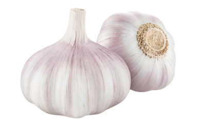 Delicious garlic cut out