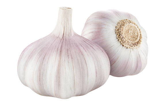 Delicious garlic cut out