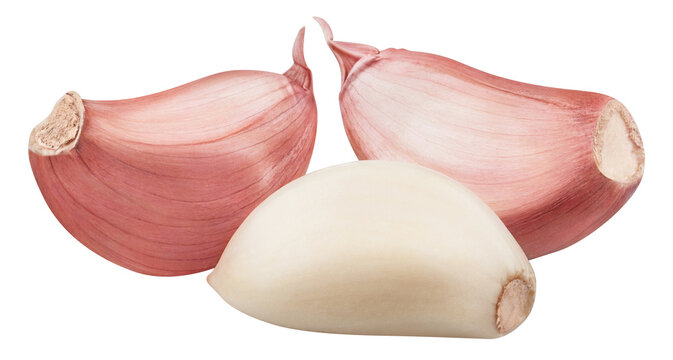 Delicious garlic cloves, cut out