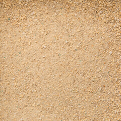 Cat Litter with Silica Crystals in Bathroom. The Crystals Are Removed by Taking Wet Particles with Spatula