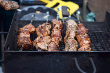 grilled meat on the grill