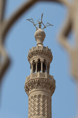 Obraz premium birds flying around the roofs in old Cairo