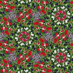 Creative background of colorful flowers