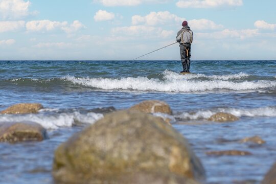 An angler in waterproof trousers is fishing in the Baltic Sea. He is standing on a stone in the water.