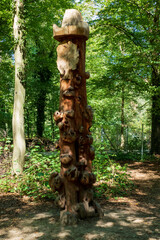 Alter Baumstamm mit Knubbeln und Löchern im Oberwald Karlsruhe