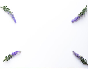 Overall, a white background with lavender flowers would be a calming and elegant image, bringing a sense of natural beauty and serenity to any space.A white background with lavender flowers