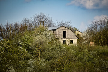 old abandoned house