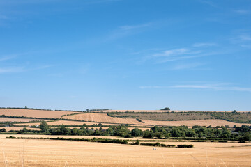 View of the countryside in Wiltshire and its cereal fields on a sunny summer afternoon, South West England
