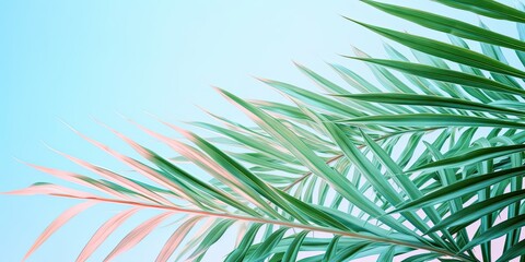 Abstract giant palm leaves. Tropical plant background Wallpaper in green, teal and blue.