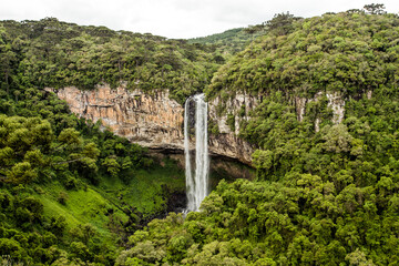 Cachoeira na floresta 