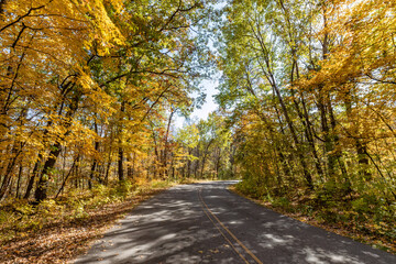 Fototapeta premium Beautiful autumn colors at William O'Brien State Park provide a brilliant canopy over the road to Lake Alice on a sunny fall afternoon