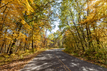 Beautiful autumn colors at William O'Brien State Park provide a brilliant canopy over the road to...