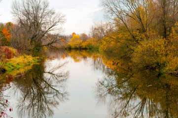 Fototapeta na wymiar Fall Colors On The East River Near De Pere, Wisconsin