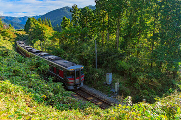 Fototapeta premium 山間部のカーブを抜ける播但線の特急はまかぜ気動車