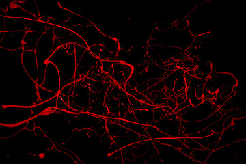 Red paint splash isolated on black background.