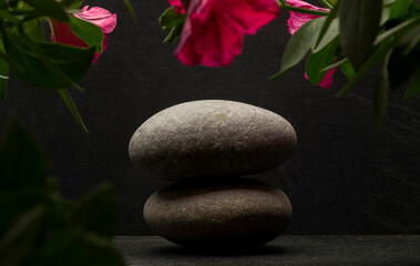 stones and flowers for podium background.stack of zen stones on dark background with shadows and pink flowers.