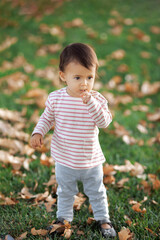 Little toddler girl standing on the grass in autumn season,  fall portrait