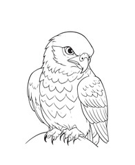 Hand drawn vector coloring page of a Falcon/Eagle. Coloring page for kids and adults. Print design, t-shirt design, tattoo design, mural art, line art. 