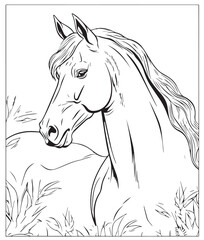 Hand drawn vector coloring page of Horse/Mare. Coloring page for kids and adults. Print design, t-shirt design, tattoo design, mural art, line art. 
