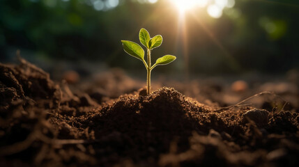 A young plant growing in sunlight. AI generative