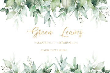 watercolor green leaves background - obrazy, fototapety, plakaty