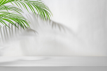 Fototapeta 椰子の葉の影の落ちる白い空間の背景テクスチャー obraz