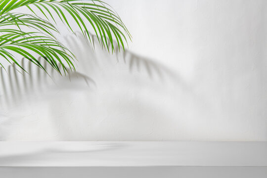 椰子の葉の影の落ちる白い空間の背景テクスチャー