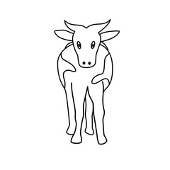 Hand drawn farm cows