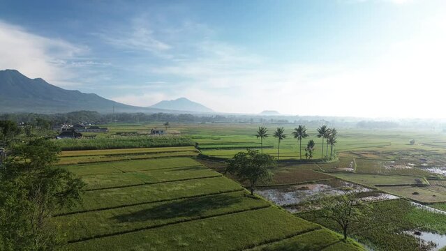 aerial video view of Mount Kawi in the morning