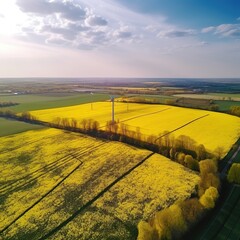 Blooming raps flowers and a wind turbine in the countryside. Springtime aerial view of nature . generative ai