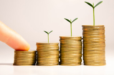 Coins in growing money concept.