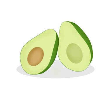 illustration of an avocado