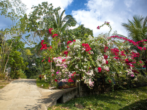 Guimaras Island Philippines