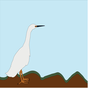 Vector garza blanca parada sobre una roca