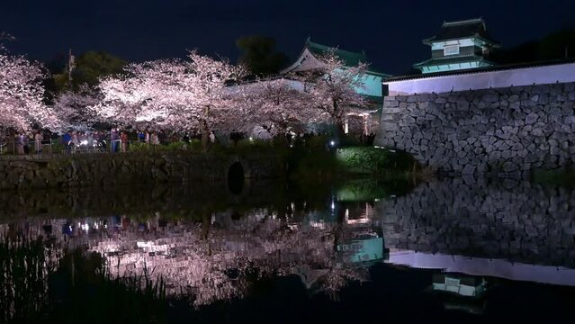 潮見櫓と下之橋とライトアップされた桜