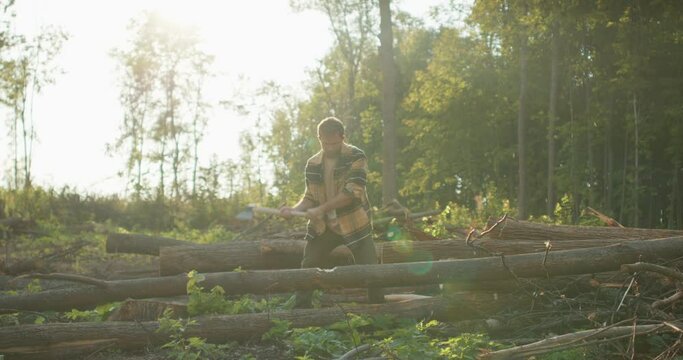 strong muscular agressive nervous angry man reliving his stress, emotions, Lumberjack in checkered shirt chops tree in deep forest with sharp ax, wood chips fly around slow motion